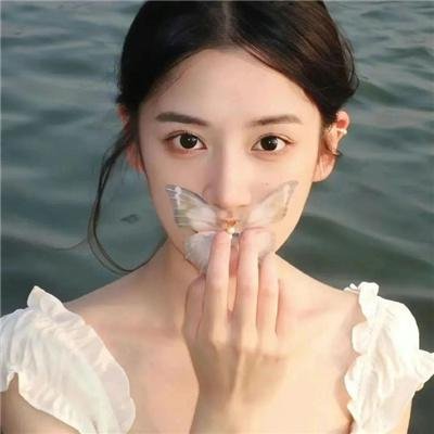 监察局长