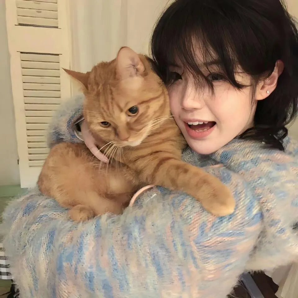 汽油彩虹