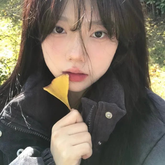 野性的冬天